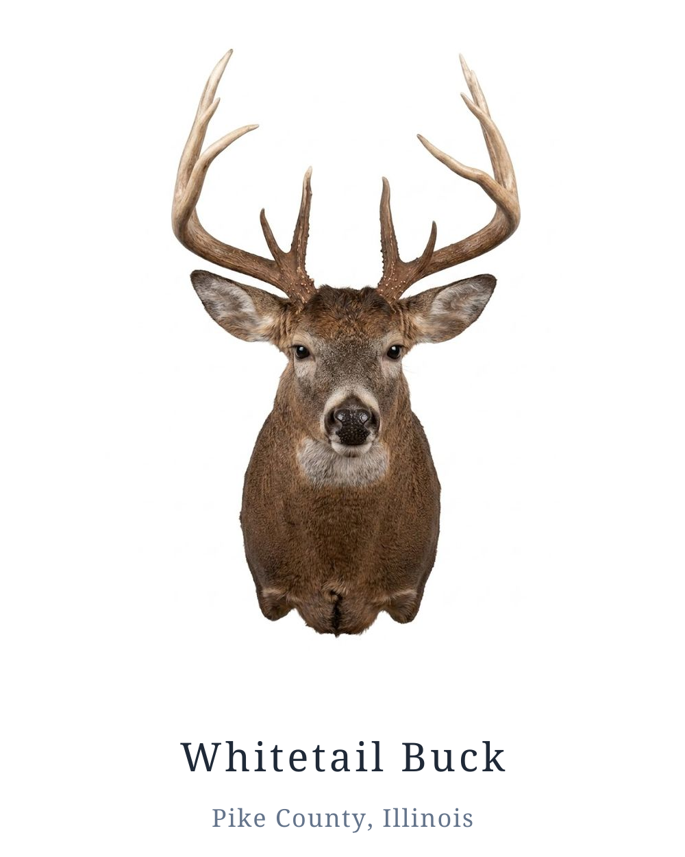 Frame Your Hunt, rendered